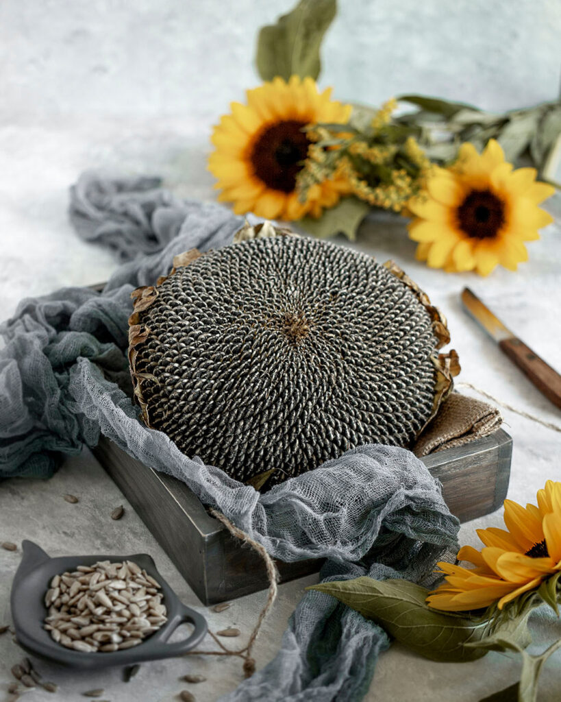 słonecznik, martwa natura, Mag Bee Fotografia produktowa