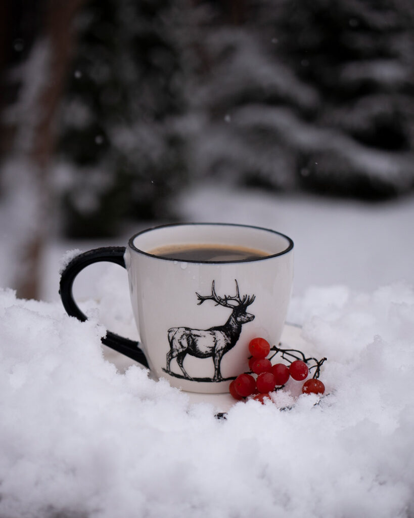 kawa, sesja zimowa w ogrodzie, Mag Bee Fotografia produktowa