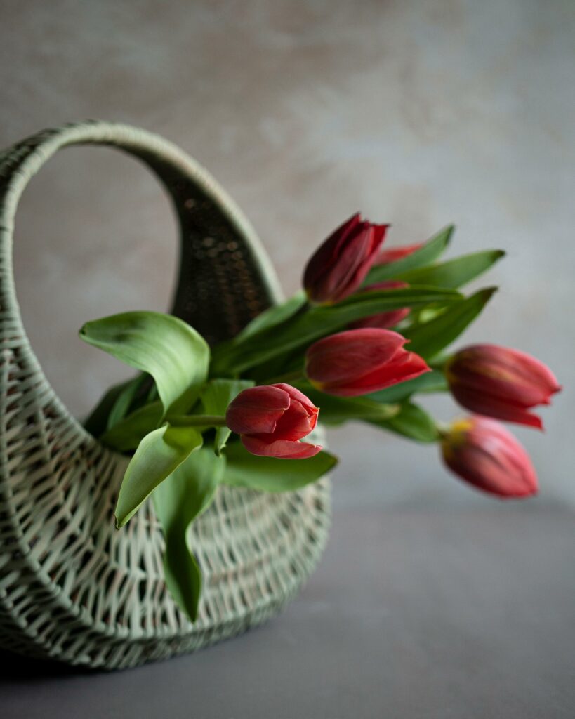 tulipany w koszu, sesja, Mag Bee Fotografia produktowa