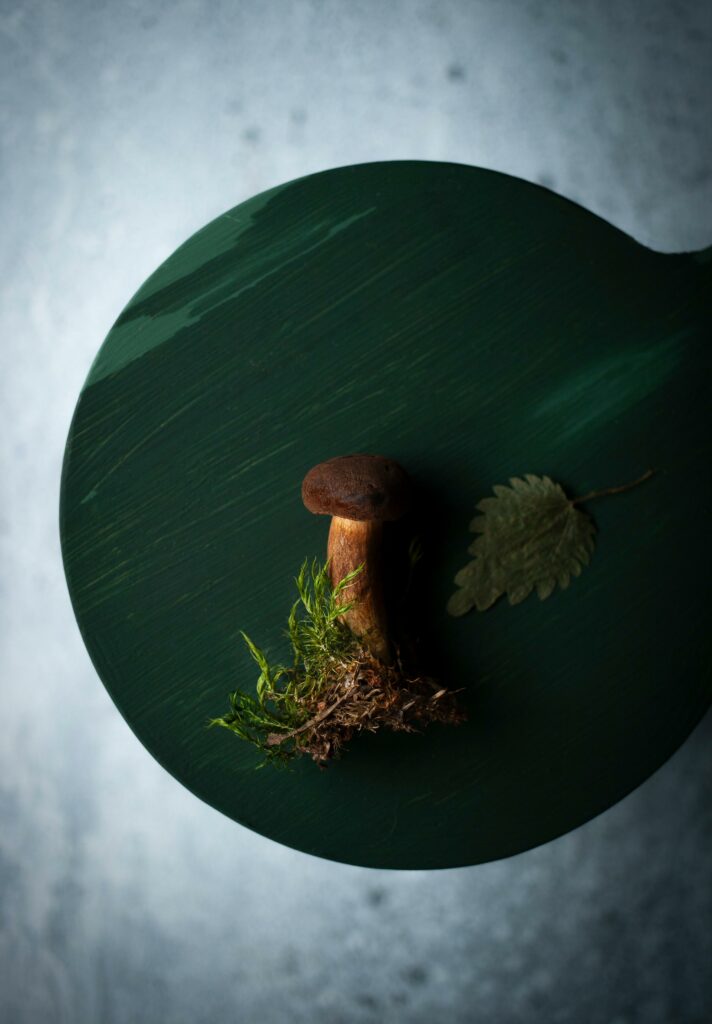 jesienna sesja, Mag Bee fotografia produktowa