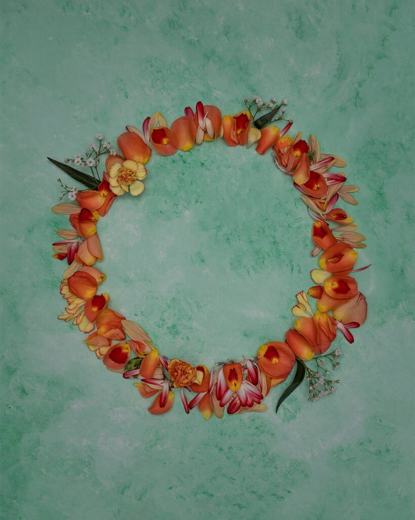 kompozycja z płatków kwiatów, Mag Bee fotografia produktowa