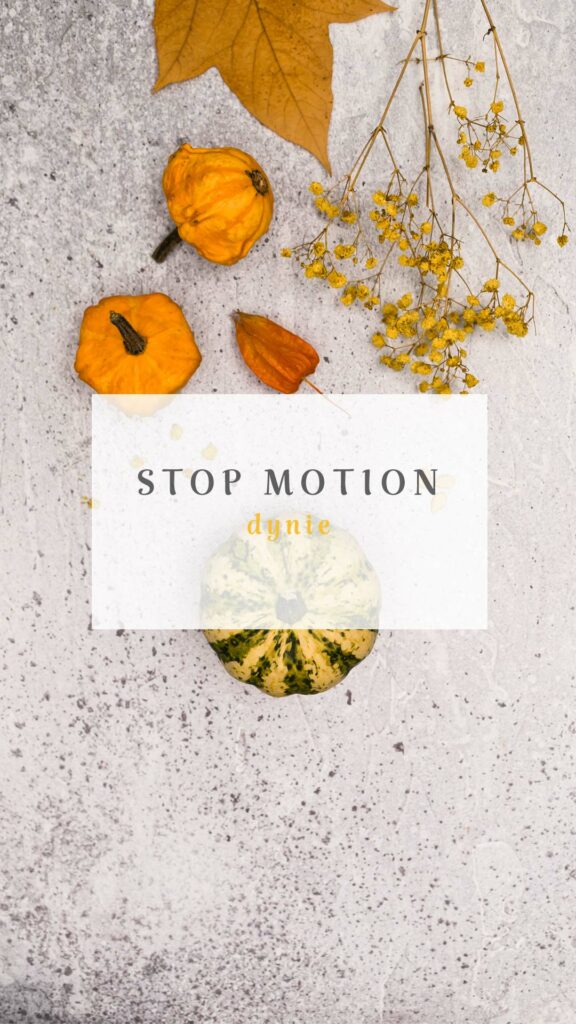 animacja poklatkowa dyni, Mag Bee fotografia produktowa