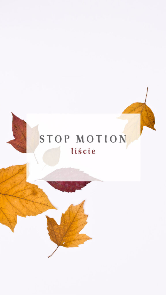 jesienna animacja poklatkowa, Mag Bee fotografia produktowa