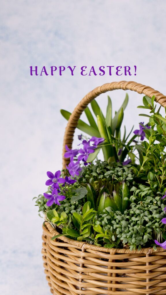 animacja poklatkowa dekoracji wielkanocnej, Mag Bzzz Fotografia produktowa i animacja poklatkowa