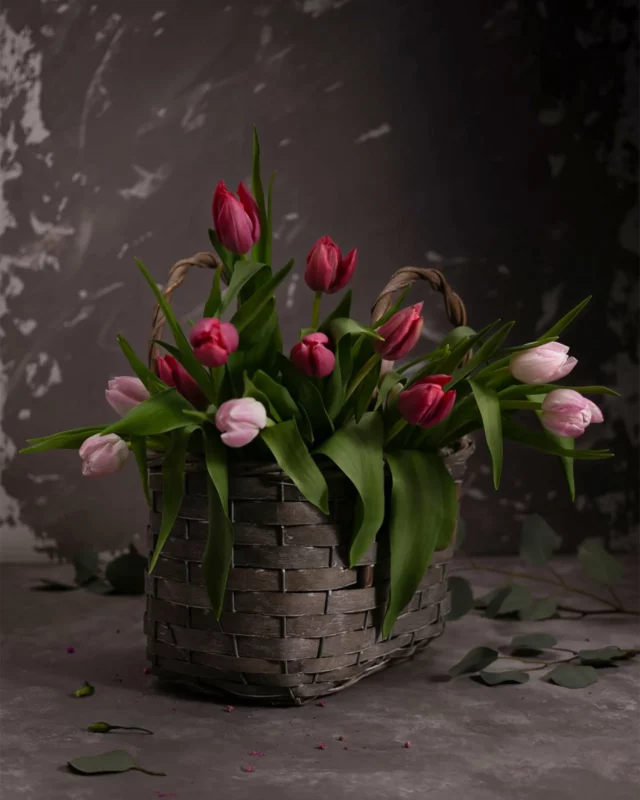 Tulipany… nie mogłam im się oprzeć 😊 Wystarczy kilka w wazonie i od razu humor lepszy, mąż przystojniejszy, syn grzeczniejszy 😉😁 
 
 
#wiosna #springiscomming #wiosennekwiaty #tulips #tulipany #tulipan #kwiatywdomu #wiosnacorazbliżej #darkmood #darkmoodphotography #zdjeciaproduktow #martwanatura #stills #stilllife #sesjezdjeciowe #fotografiaproduktowa #fotografproduktowy #zdjeciaproduktowe #zdjeciakulinarne
 
 
 
fotograf produktowy / zdjęcia produktowe / zdjęcia dla firm