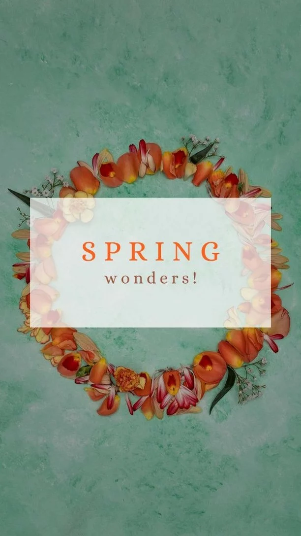 Wiosno! Kiedy wybuchniesz? 😁 🌷
#dowolny_fotowtorek_2025 
#wiosna #wiosennekwiaty #springvibes #springtime #zdjeciaproduktowe #zdjęciaproduktów #zdjeciakulinarne #fotografproduktowy #fotografkulinarny #fotografiaproduktowa #fotografiakulinarna #kwiatywdomu #kwiaty #flowers #flowerpower #flowerphotography
